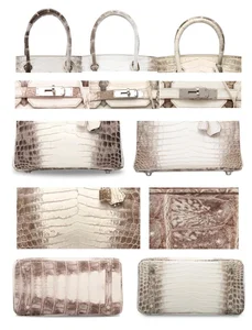 The Rarity of Hermes: A Closer Look at the World's Most Coveted Handbags - image 4