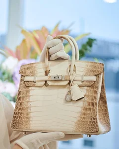 The Rarity of Hermes: A Closer Look at the World's Most Coveted Handbags - image 0