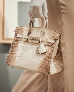 The Rarity of Hermes: A Closer Look at the World's Most Coveted Handbags - image 3