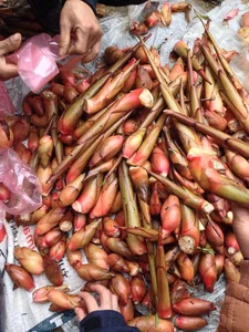 From Trash to Treasure: Rare Culinary Delicacies You Cannot Simply Buy - image 5