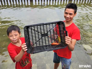 Flooding in Hoa Lu Ancient Town: Locals Catch Fish in the Streets - image 0