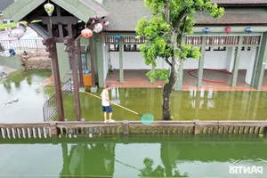 Flooding in Hoa Lu Ancient Town: Locals Catch Fish in the Streets - image 2