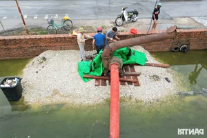 Flooding in Hoa Lu Ancient Town: Locals Catch Fish in the Streets - image 1