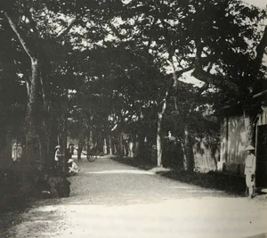 Nostalgic Journey Through Hanoi Streets More Than 100 Years Ago - image 0