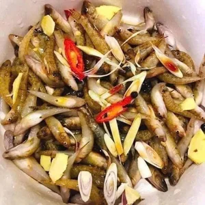 The Rare Seasonal Delicacy: From 'Poor Man's Fish' to Luxury Food - image 0