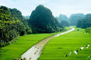 Admire the Breathtaking Beauty of Tam Coc During the Vibrant Green Rice Season - image 2