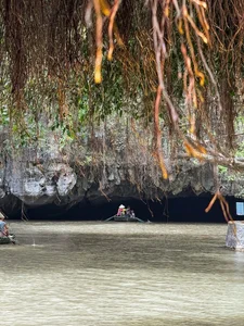 Admire the Breathtaking Beauty of Tam Coc During the Vibrant Green Rice Season - image 5