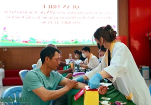 The 500-Day DNA Campaign: Identifying Vietnam’s Fallen Heroes Through Science - image 7