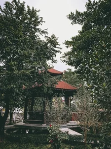 Inside the Rare 1,000-Square-Meter Lim Wood Mansion in Nam Dinh - image 7