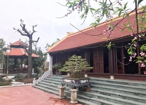 Inside the Rare 1,000-Square-Meter Lim Wood Mansion in Nam Dinh - image 10