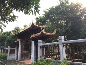 Inside the Rare 1,000-Square-Meter Lim Wood Mansion in Nam Dinh - image 5