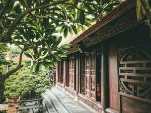 Inside the Rare 1,000-Square-Meter Lim Wood Mansion in Nam Dinh - image 4