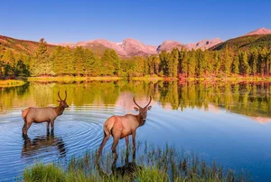 Breathtaking Views: Exploring the Most Majestic Mountain Range in North America - image 7