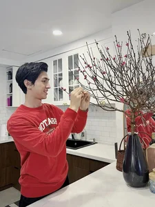 Inside the Luxury Villas of Actors Manh Truong and Viet Anh - image 16