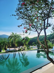 Inside the Luxury Villas of Actors Manh Truong and Viet Anh - image 6