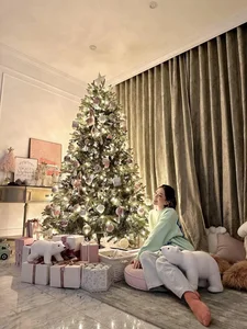 Inside the Luxury Villas of Actors Manh Truong and Viet Anh - image 13