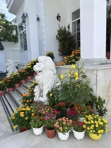 Inside Tang Thanh Ha’s Stunning Luxury Villa Decorated for Lunar New Year - image 4