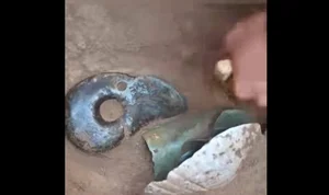 Ancient Tomb Excavation Unearths Rare Jade Dragon Artifact - image 7