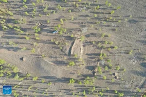 Ancient Tomb Excavation Unearths Rare Jade Dragon Artifact - image 4