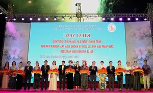 Experience the Magic of the 2026 Ban Flower Festival: A Cultural Journey Through Northwest Vietnam's Landscapes - image 0
