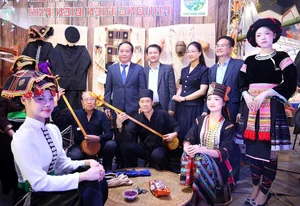 Experience the Magic of the 2026 Ban Flower Festival: A Cultural Journey Through Northwest Vietnam's Landscapes - image 7