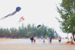 Vibrant Artistic Kites Light Up the Sky Near Minh Duc Pagoda - image 6