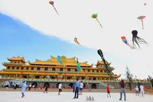 Vibrant Artistic Kites Light Up the Sky Near Minh Duc Pagoda - image 0