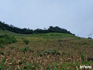 Preserving the Beauty of Hang Kia - Pa Co: Addressing the Environmental Scars - image 3