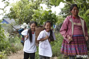 Preserving the Beauty of Hang Kia - Pa Co: Addressing the Environmental Scars - image 0