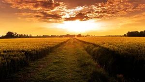 Ultimate Collection of 99+ Beautiful and Romantic Sunrise Photos - image 60