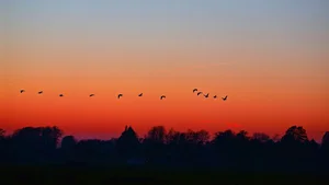 Ultimate Collection of 99+ Beautiful and Romantic Sunrise Photos - image 58