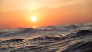 Ultimate Collection of 99+ Beautiful and Romantic Sunrise Photos - image 69