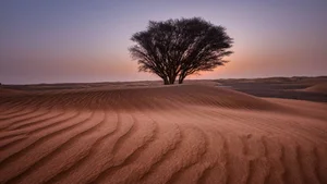 Ultimate Collection of 99+ Beautiful and Romantic Sunrise Photos - image 87