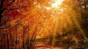 Ultimate Collection of 99+ Beautiful and Romantic Sunrise Photos - image 66