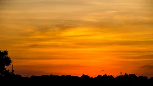 Ultimate Collection of 99+ Beautiful and Romantic Sunrise Photos - image 74