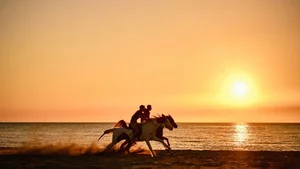 Ultimate Collection of 99+ Beautiful and Romantic Sunrise Photos - image 25