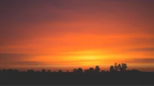 Ultimate Collection of 99+ Beautiful and Romantic Sunrise Photos - image 51