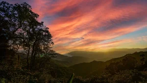 Ultimate Collection of 99+ Beautiful and Romantic Sunrise Photos - image 47