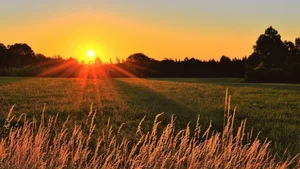 Ultimate Collection of 99+ Beautiful and Romantic Sunrise Photos - image 6