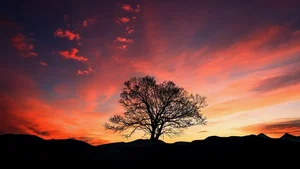 Ultimate Collection of 99+ Beautiful and Romantic Sunrise Photos - image 80