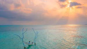 Ultimate Collection of 99+ Beautiful and Romantic Sunrise Photos - image 50