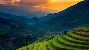 Ultimate Collection of 99+ Beautiful and Romantic Sunrise Photos - image 45