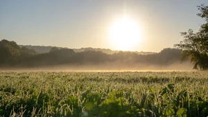 Ultimate Collection of 99+ Beautiful and Romantic Sunrise Photos - image 88