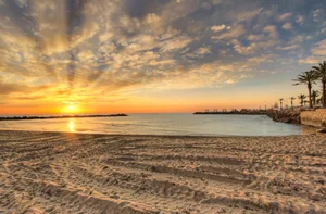 Fascinating and Surprising Facts About the Nation of Israel - image 8