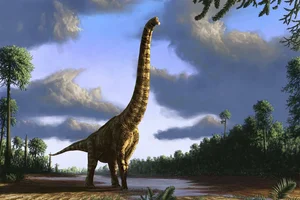 Giants of the Past: Exploring the Tallest Dinosaur Ever Discovered - image 4