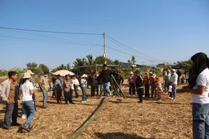 Discover the Vibrant Long Tong Festival of the Tay and Nung People in Cu M’gar - image 2