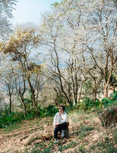 Enchanting Ban Flower Forests of Dien Bien: A Fairy Tale - image 4