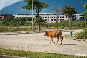 Inside the Abandoned Trillion-Dong Eco-Urban Ghost Town in Da Nang - image 0
