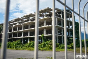 Inside the Abandoned Trillion-Dong Eco-Urban Ghost Town in Da Nang - image 3