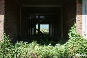 Inside the Abandoned Trillion-Dong Eco-Urban Ghost Town in Da Nang - image 4